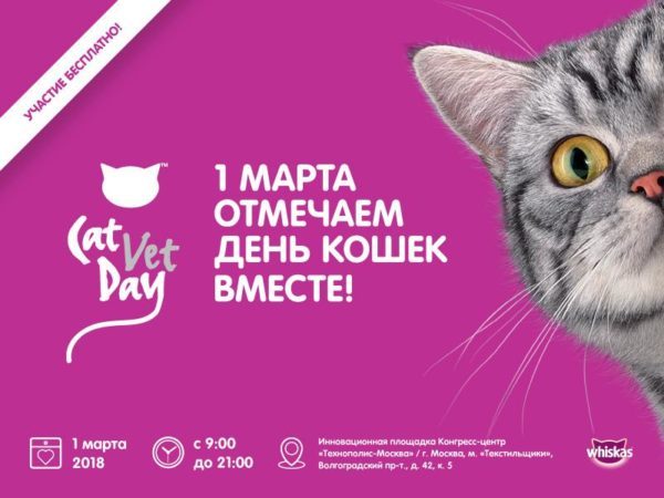 1 марта в День кошек в Москве по адресу Волгоградский проспект, 42, корп. 5,  состоится ветеринарная конференция Cat Vet Day. Начало в 9:00, вход свободный.